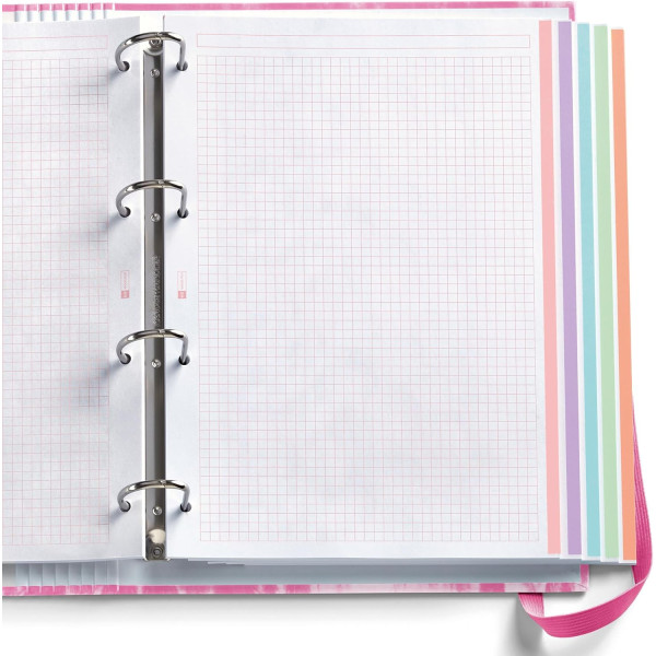 Registrator A4 MIQUELRIUS West Bay 