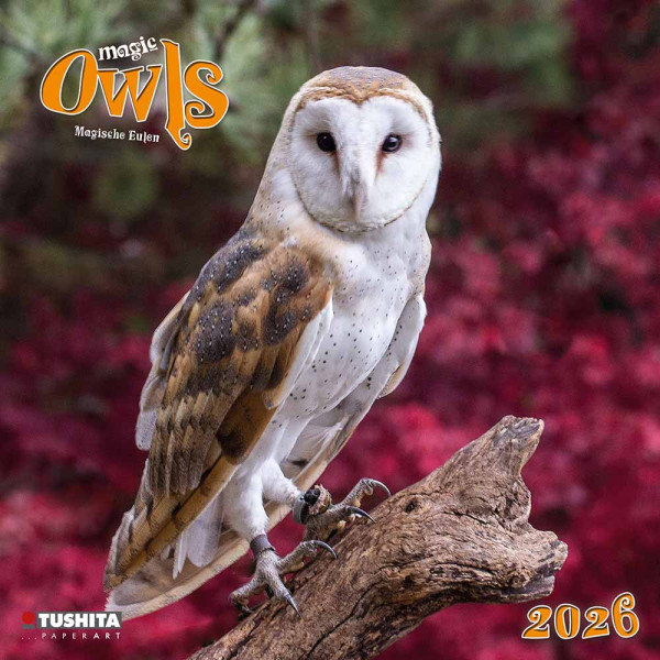Zidni kalendar 2026 MAGIC OWLS 