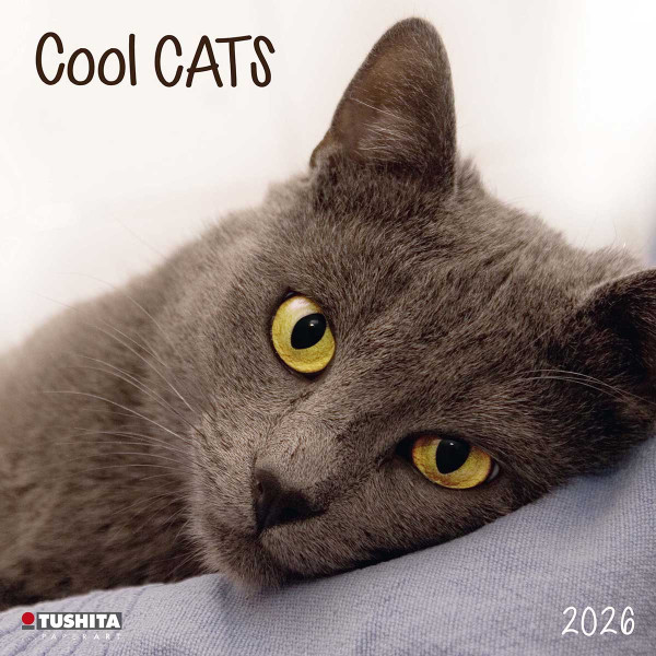 Zidni kalendar 2026 COOL CATS 