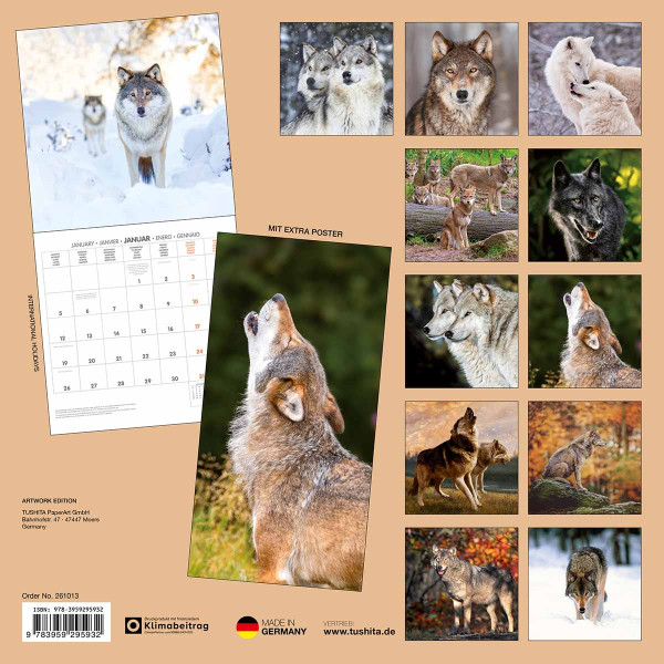 Zidni kalendar 2026 WOLVES 