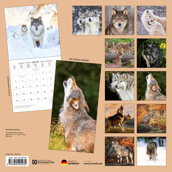 Zidni kalendar 2026 WOLVES 