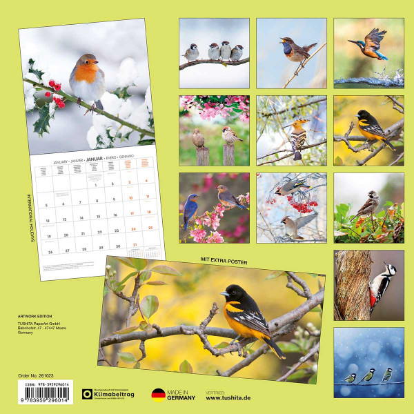 Zidni kalendar 2026 BIRDS 