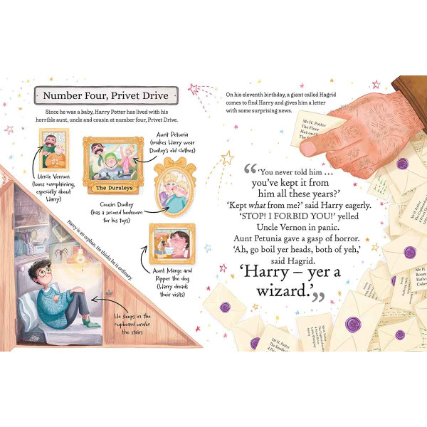 HARRY POTTER POCKET POTTERS 