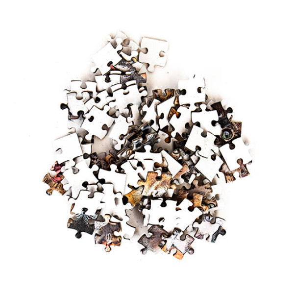 Mini puzzle CRAZY CATS 