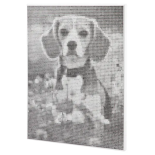 Kreativni set DOT PAINTING - PAS 40x30cm 