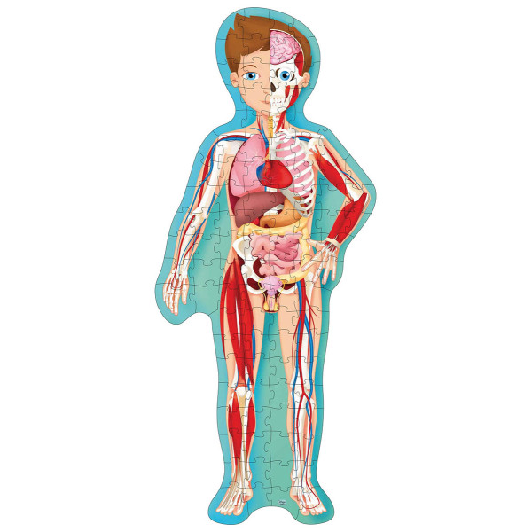 PUTUJ, UČI, ISTRAŽUJ - LJUDSKO TELO 