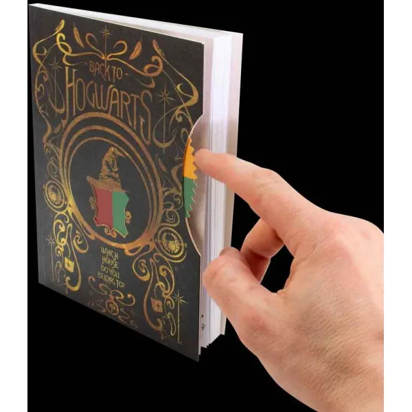 HARRY POTTER notes SPINNER 