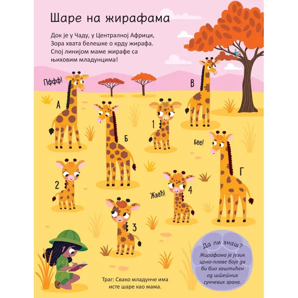 PIŠI - BRIŠI: ŽIVOTINJE - KNJIGA SA AKTIVNOSTIMA 