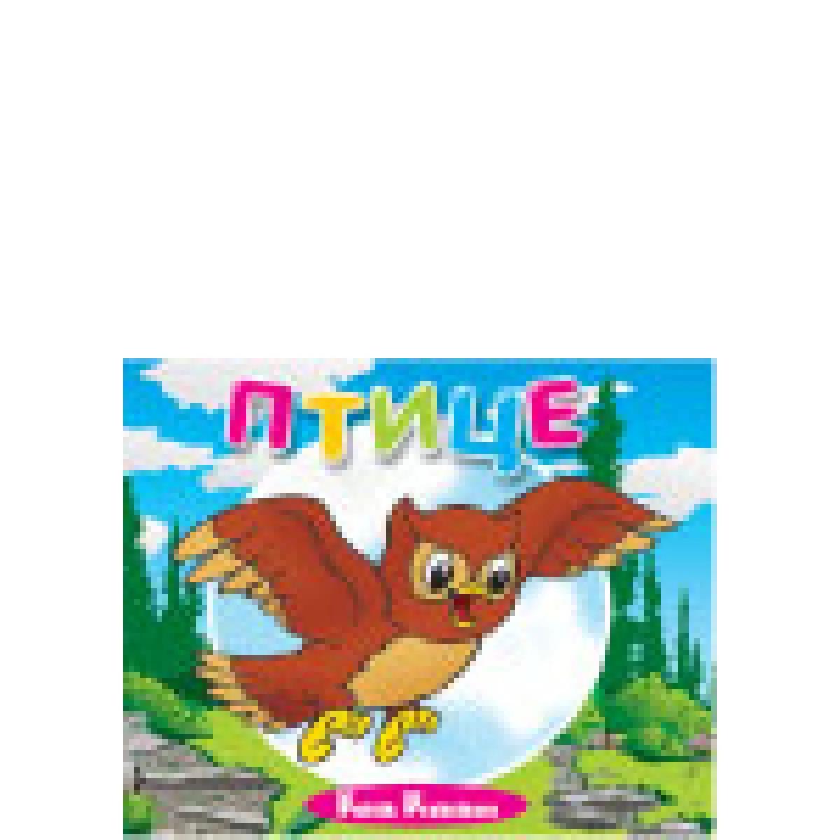 PTICE MALA KARTONSKA SLIKOVNICA 