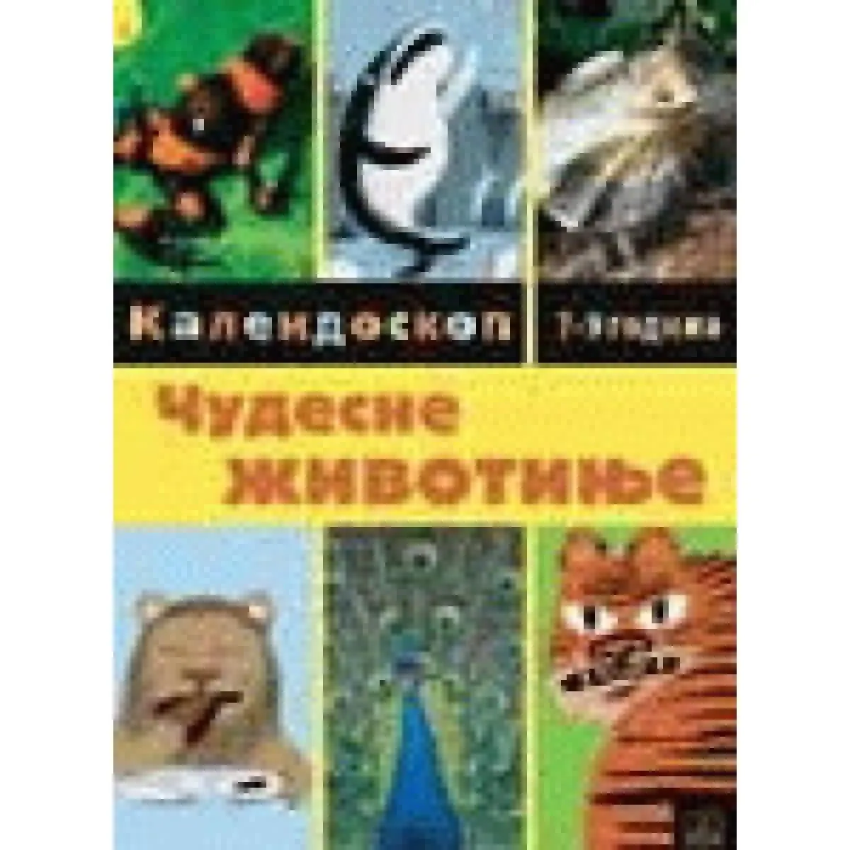 ČUDESNE ŽIVOTINJE 