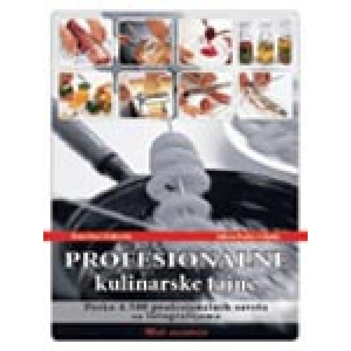 PROFESIONALNE KULINARSKE TAJNE 