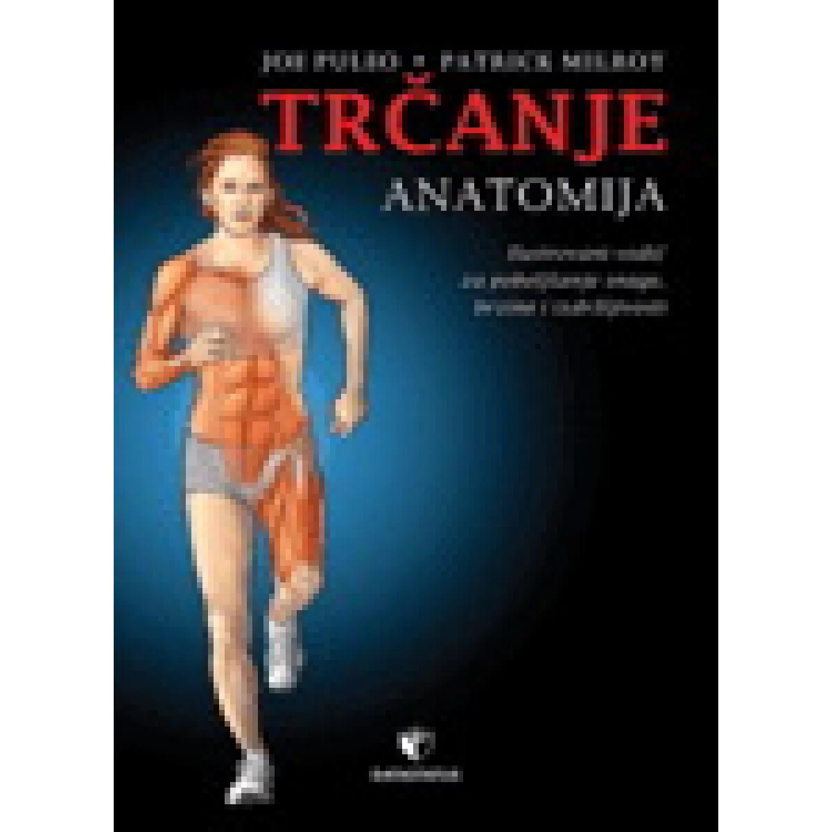 TRČANJE ANATOMIJA 