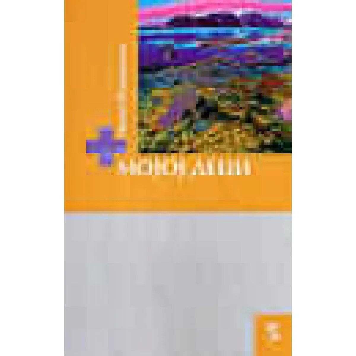 MOJOJ DECI 