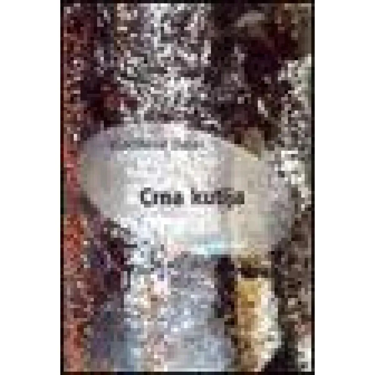 CRNA KUTIJA 