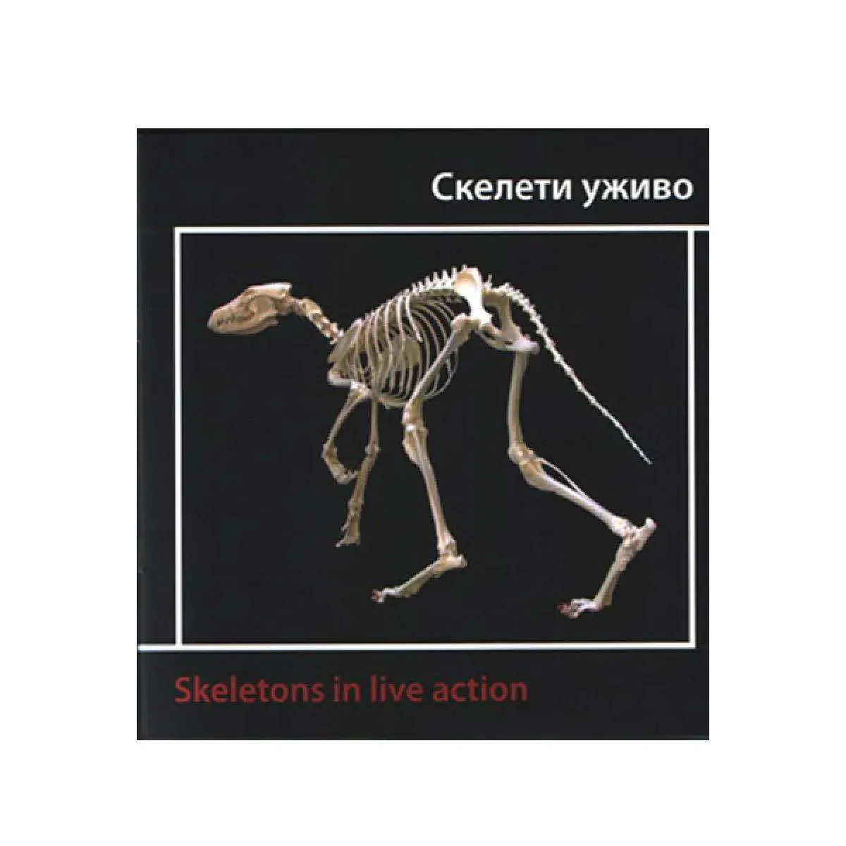 SKELETI UŽIVO 
