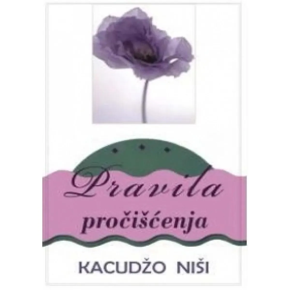PRAVILA PROČIŠĆENJA II izdanje 2019 