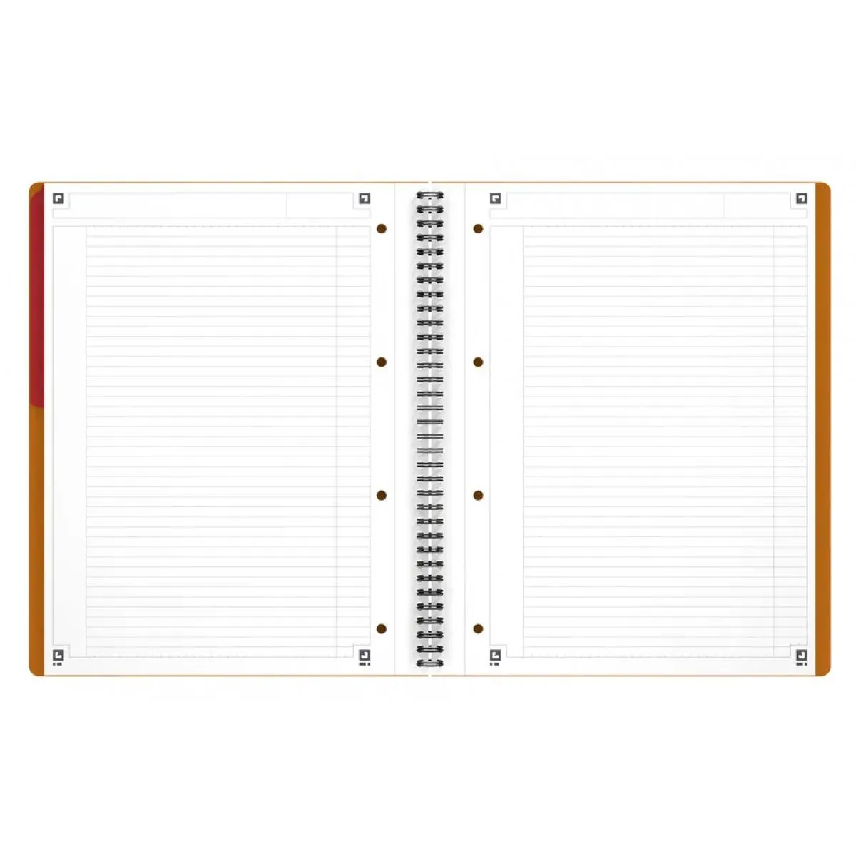 SVESKA OXFORD INTERNATIONAL ACTIVEBOOK A4+ LINIJE 