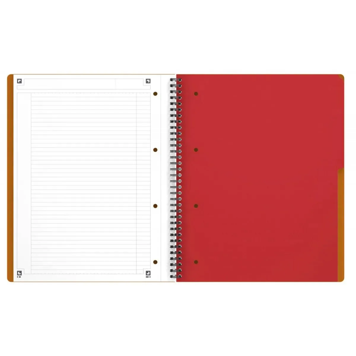 SVESKA OXFORD INTERNATIONAL ACTIVEBOOK A4+ LINIJE 