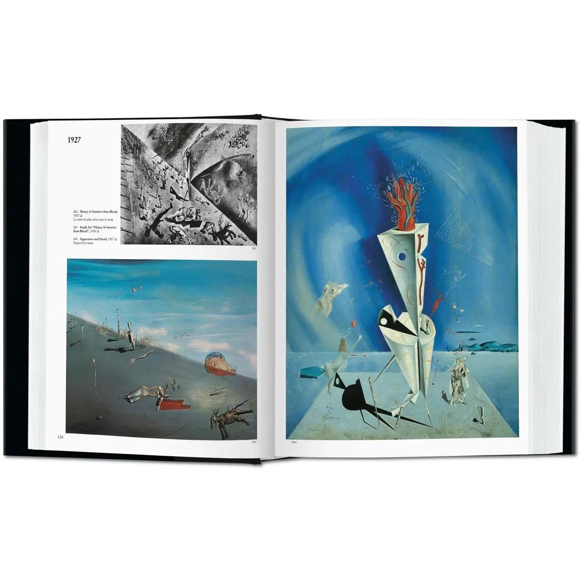 SALVADOR DALI THE PAINTINGS 