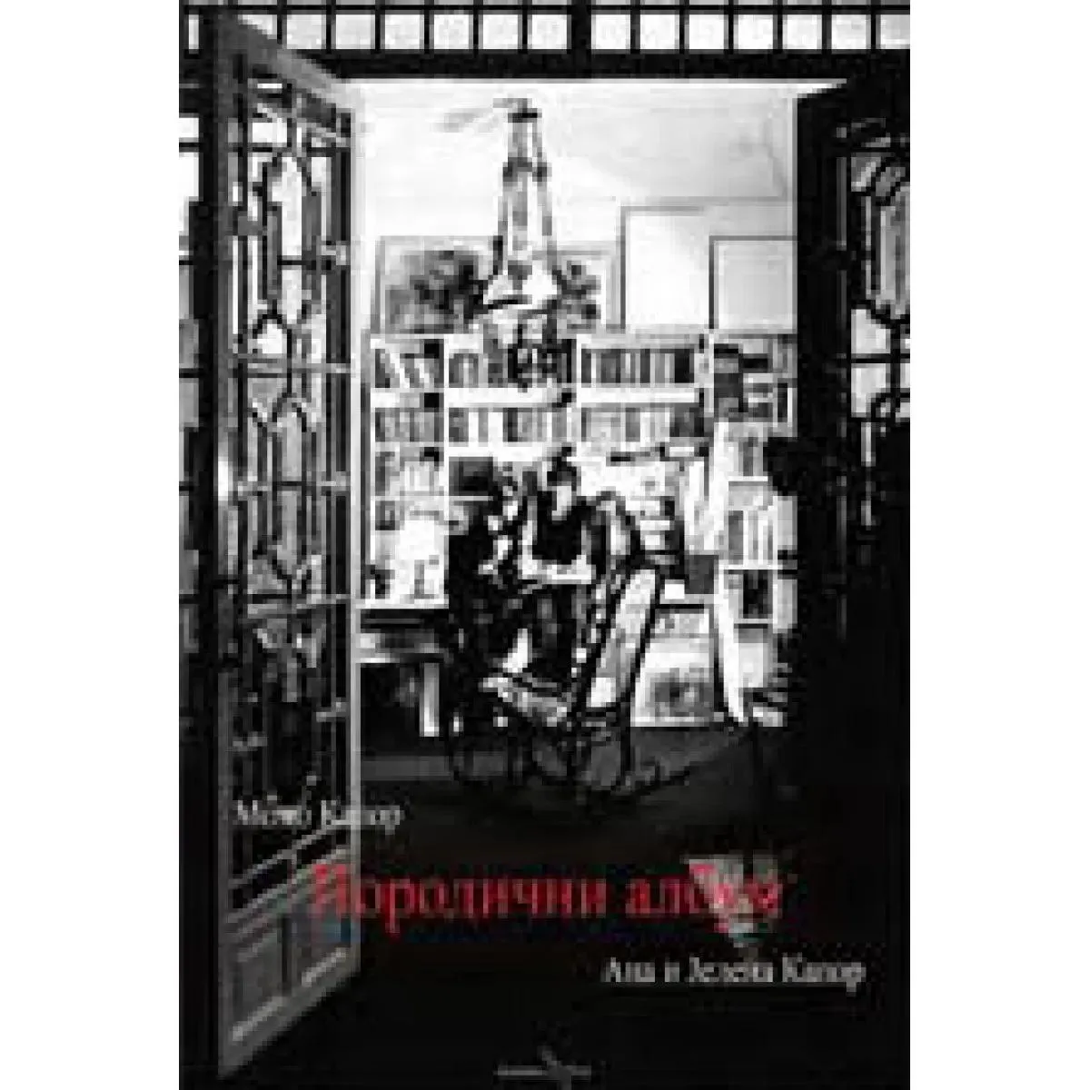 PORODIČNI ALBUM MOMA KAPORA 