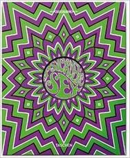 PSYCHEDELIC SEX BOOK 