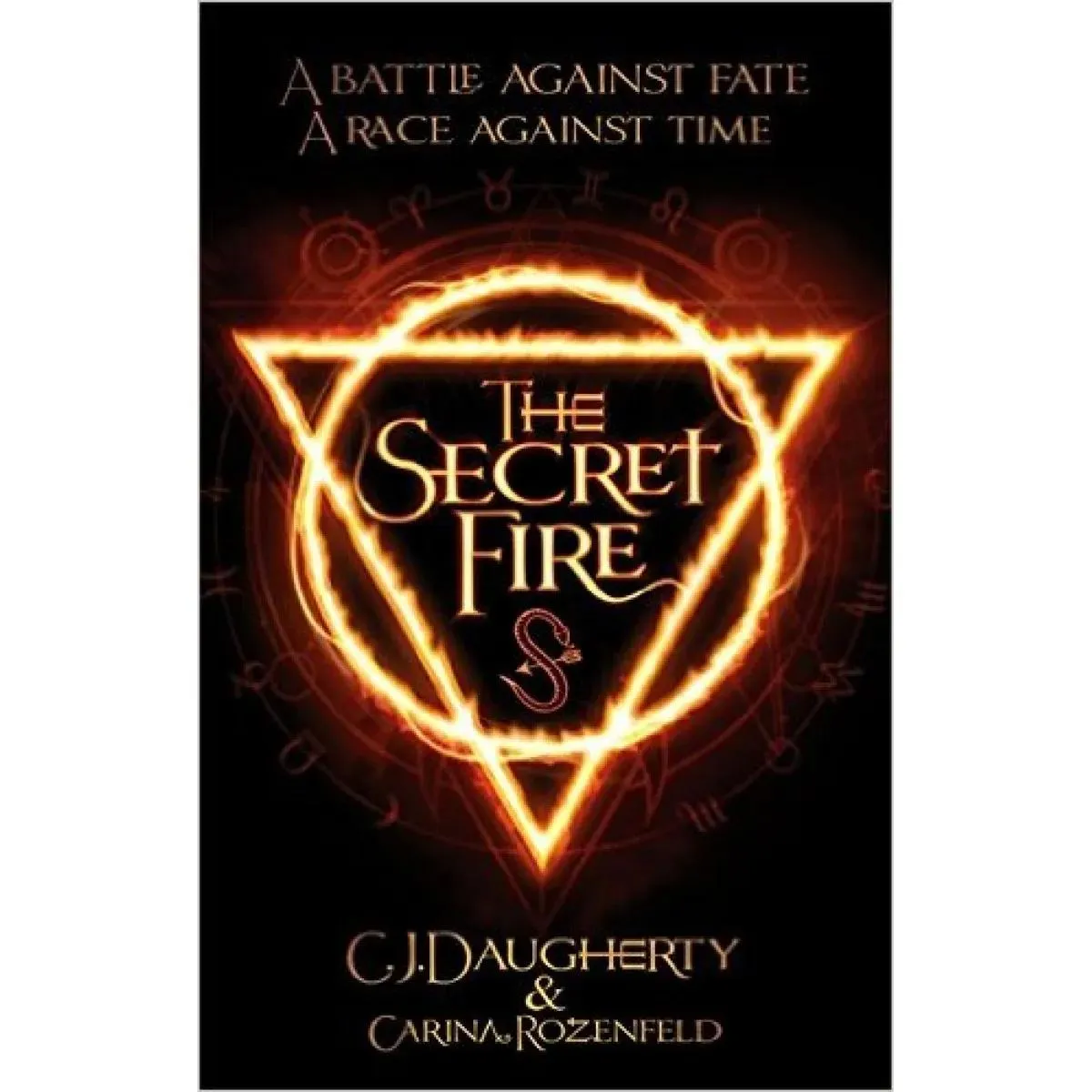 THE SECRET FIRE 