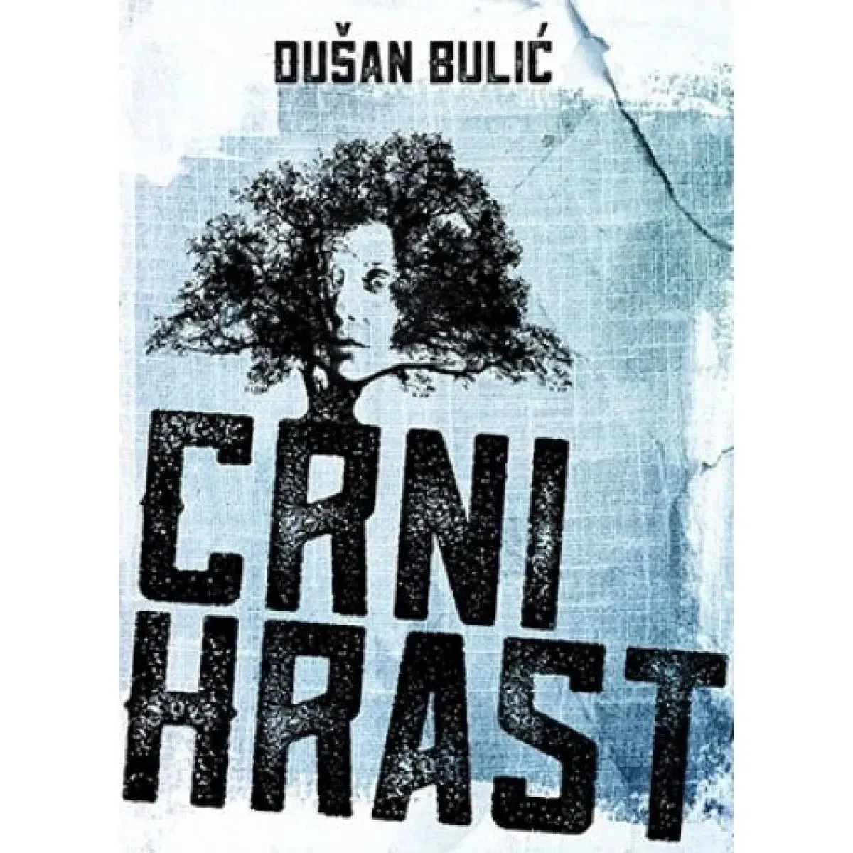 CRNI HRAST 