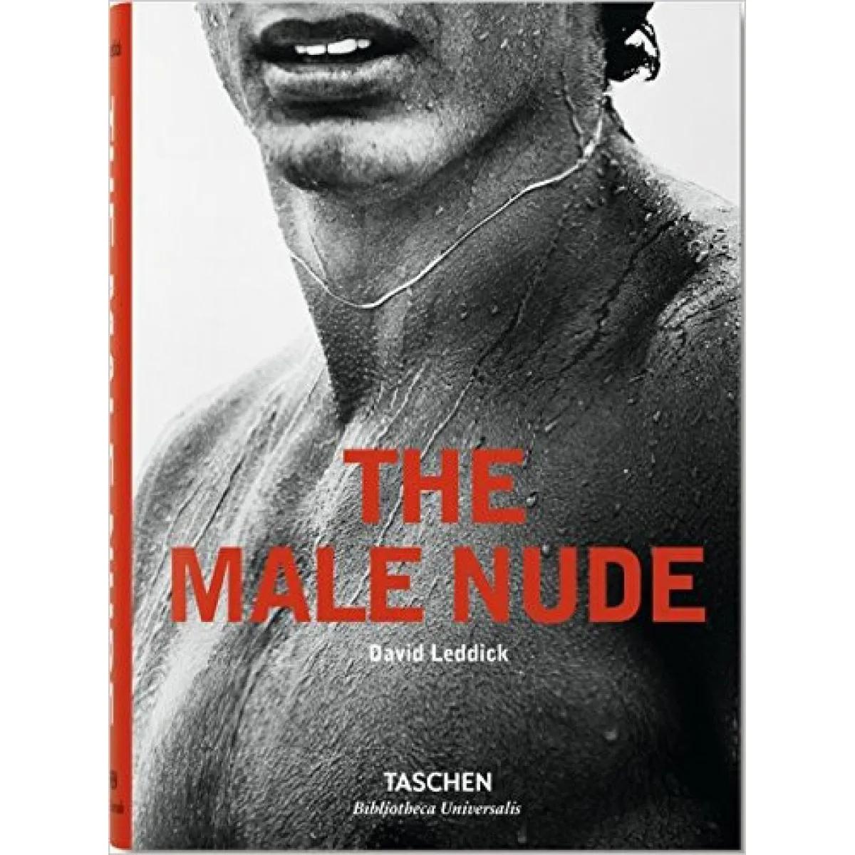 THE MALE NUDE 