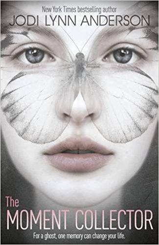 THE MOMENT COLLECTOR 