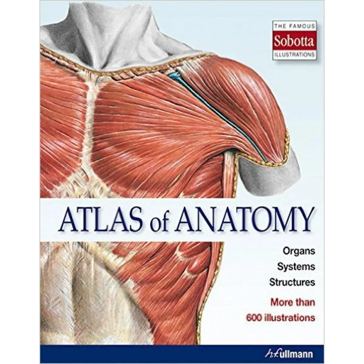ATLAS OF ANATOMY 