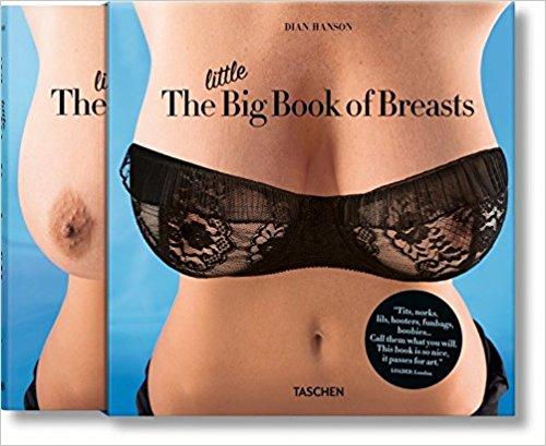 LITTLE BIG BOOK OF BREASTS 