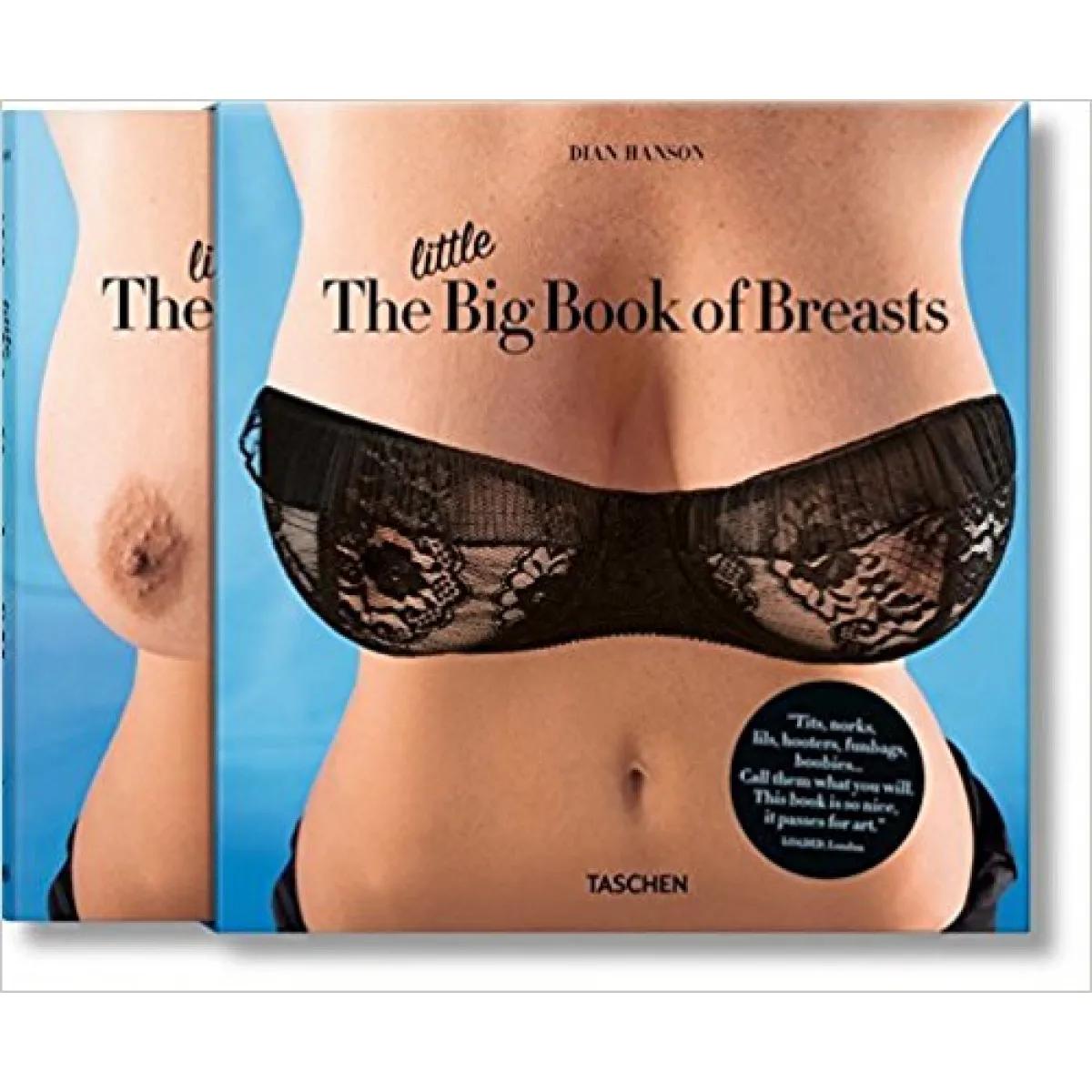 LITTLE BIG BOOK OF BREASTS 