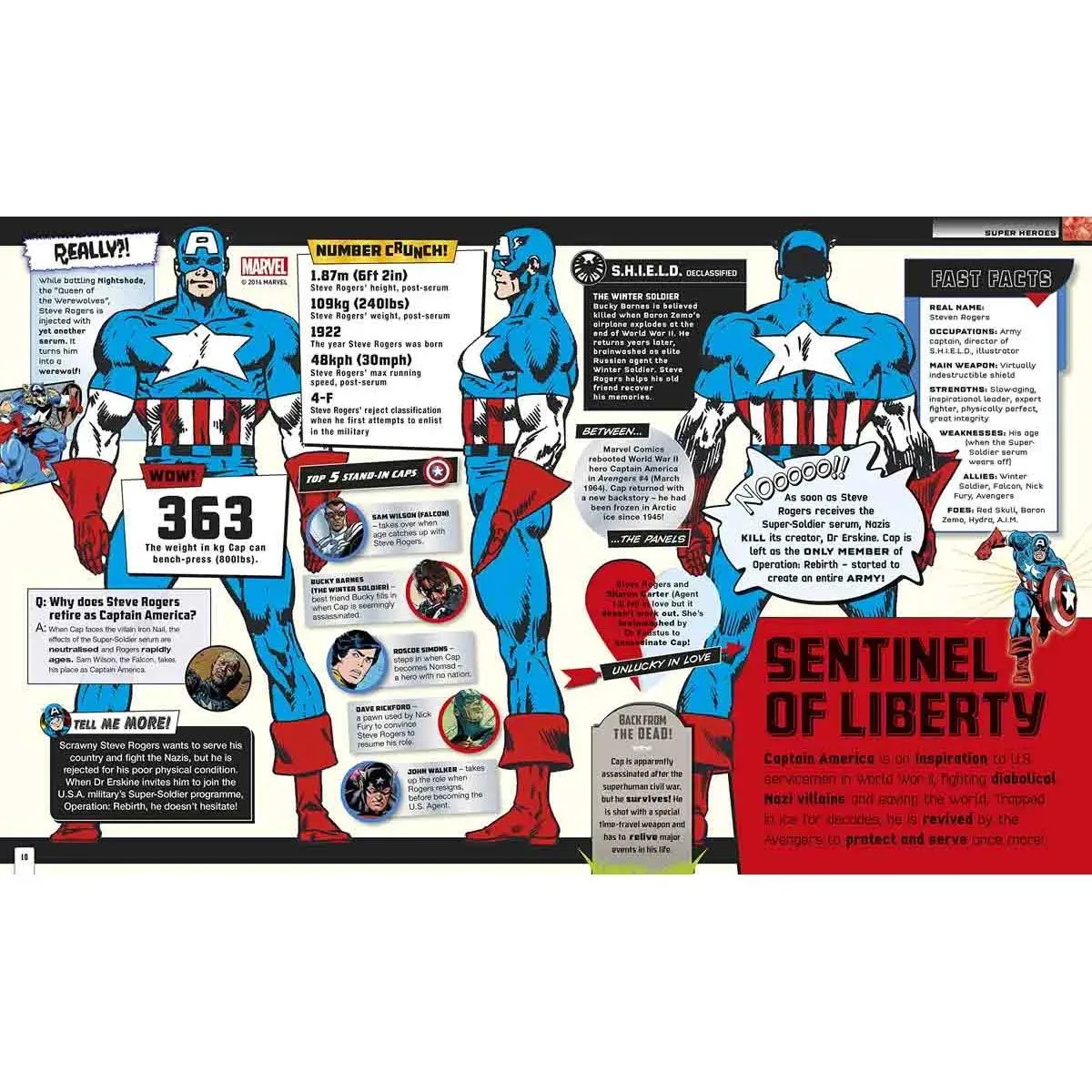 MARVEL Absolutely Everything You Need to Know 