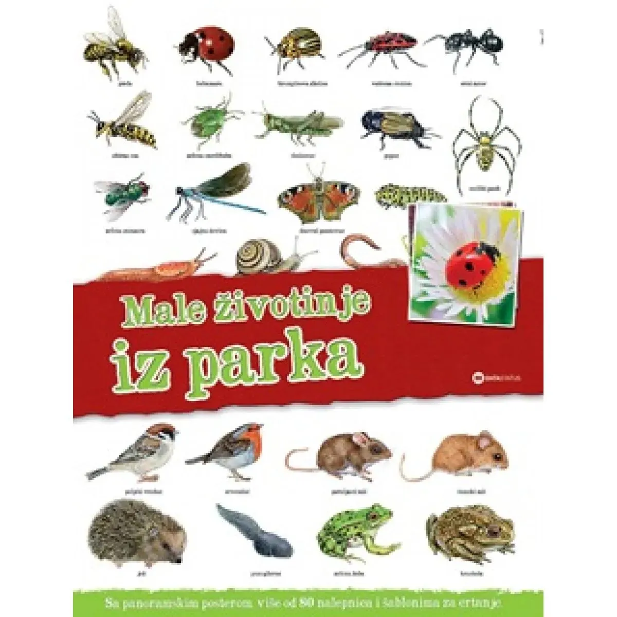 PANORAMA Male životinje iz parka 