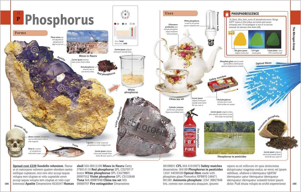 THE PERIODIC TABLE BOOK 