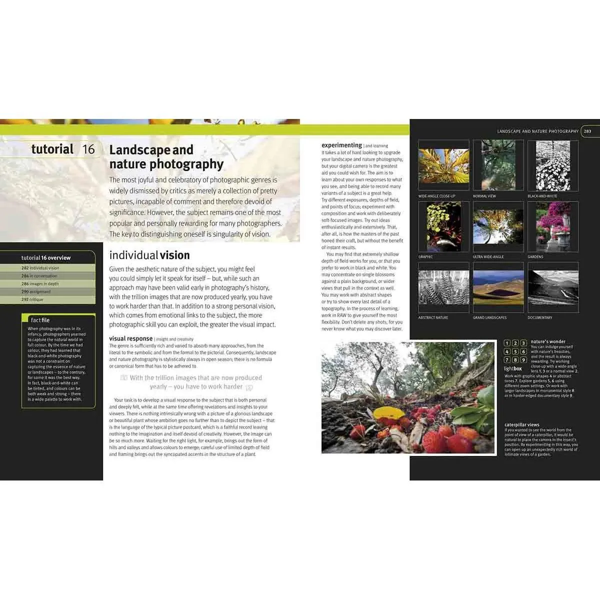 DIGITAL PHOTOGRAPHY MASTERCLASS 