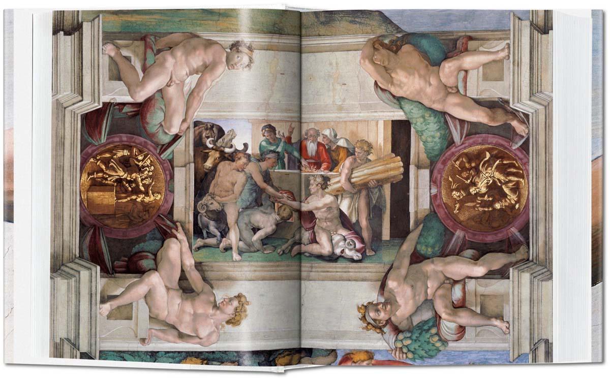 MICHELANGELO The Complete Paintings Sculptures and Architecture 