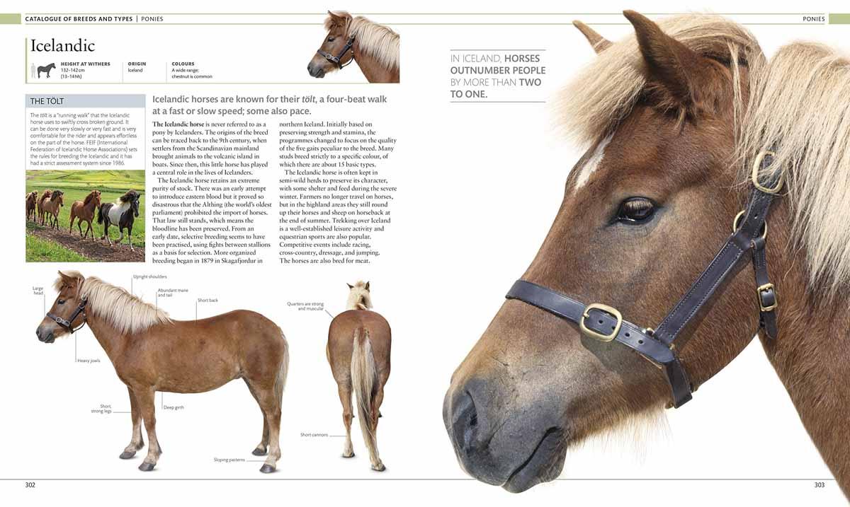 THE HORSE ENCYCLOPEDIA - Elwyn Hartley Edwards, DK | Knjižare Vulkan