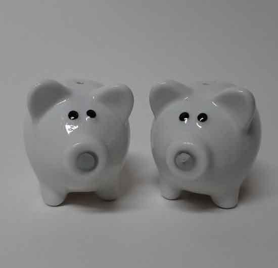 Zaljubljeni SLANICI sa magnetom 