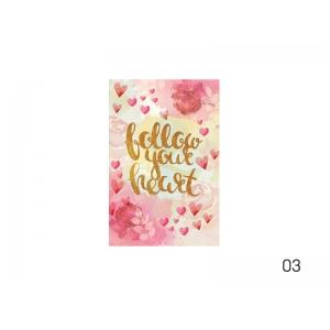 Fascikla DREAM A4 tvrdi povez 3cm 