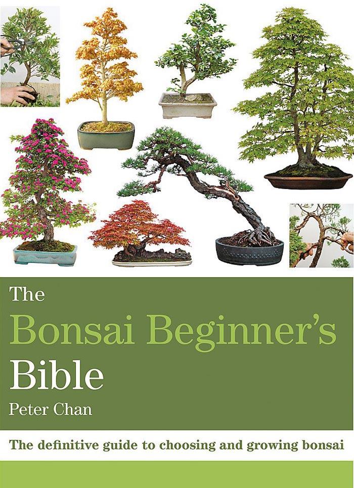 THE BONSAI BEGINNERS BIBLE 