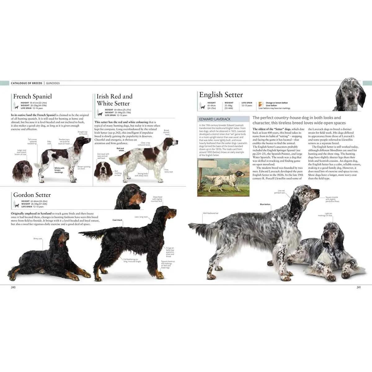 THE DOG ENCYCLOPEDIA 
