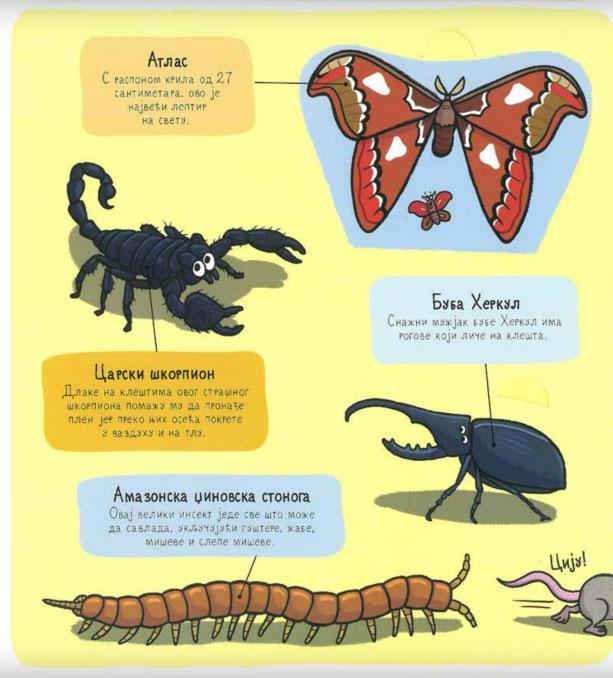 BUBE I... Mali istraživači 