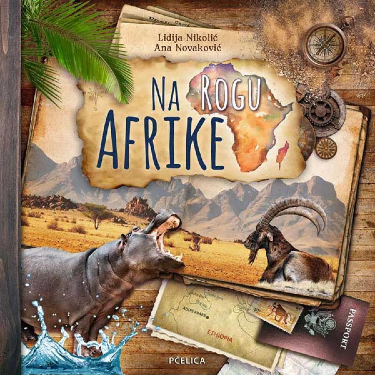 NA ROGU AFRIKE 