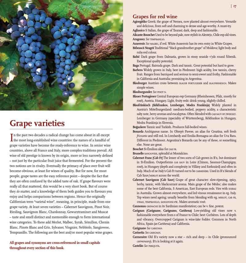 HUGH JOHNSONS POCKET WINE BOOK 