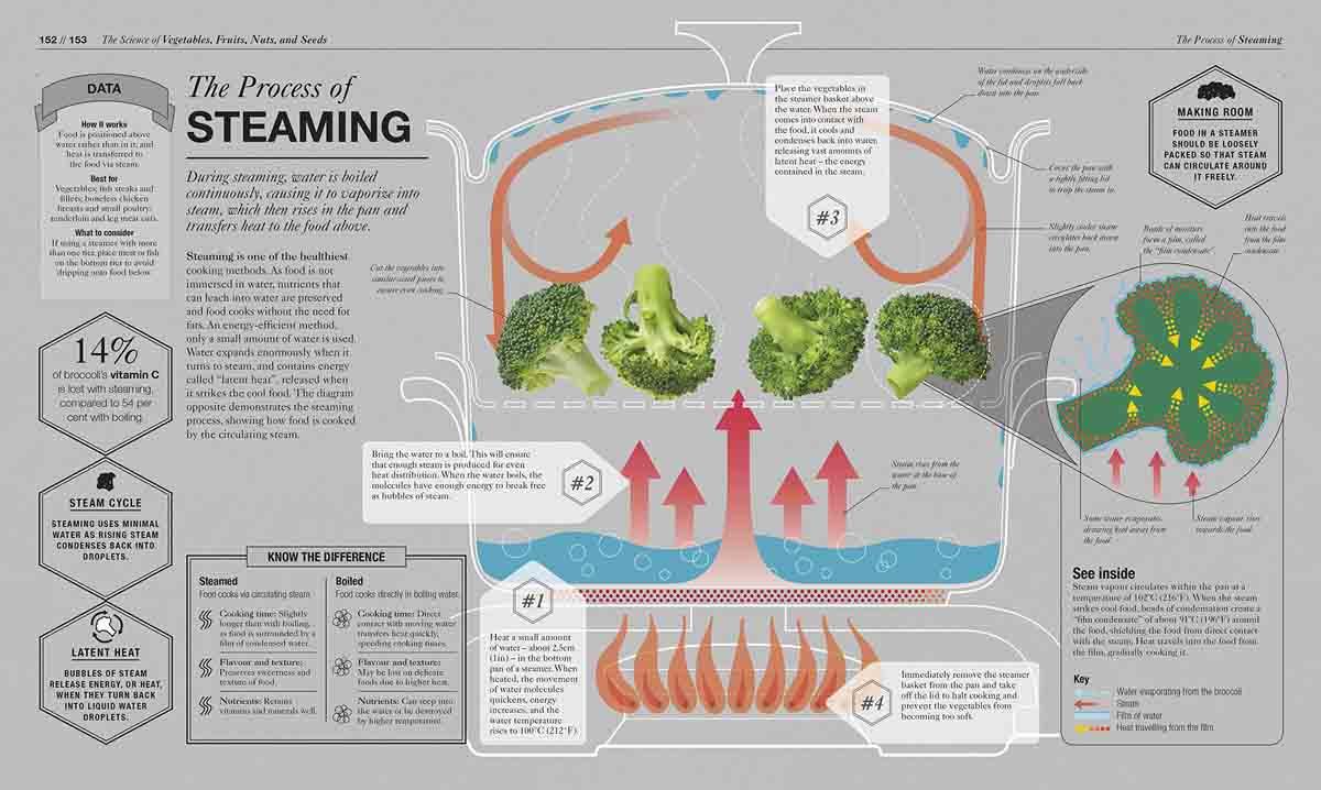 THE SCIENCE OF COOKING 