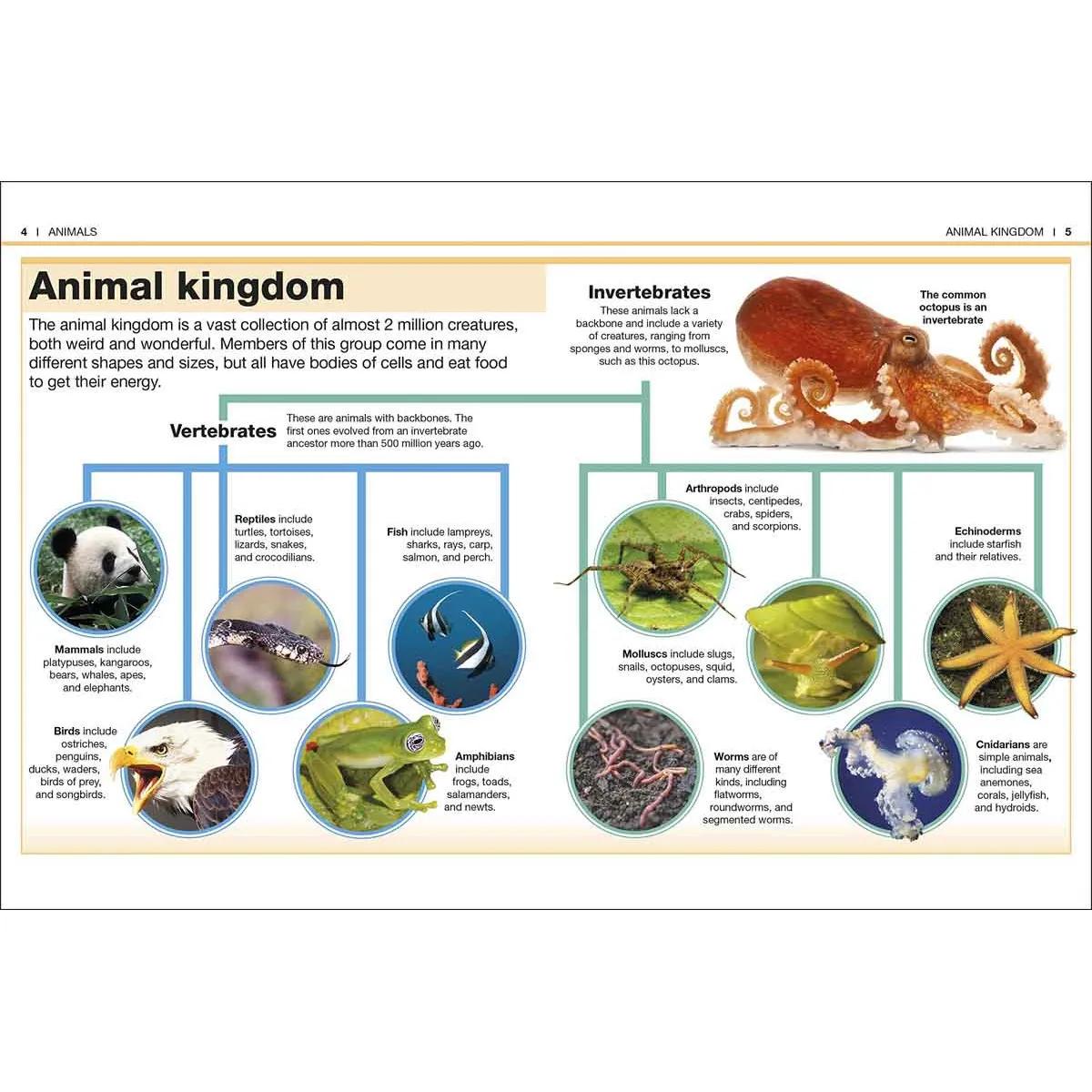 POCKET EYEWITNESS ANIMALS 