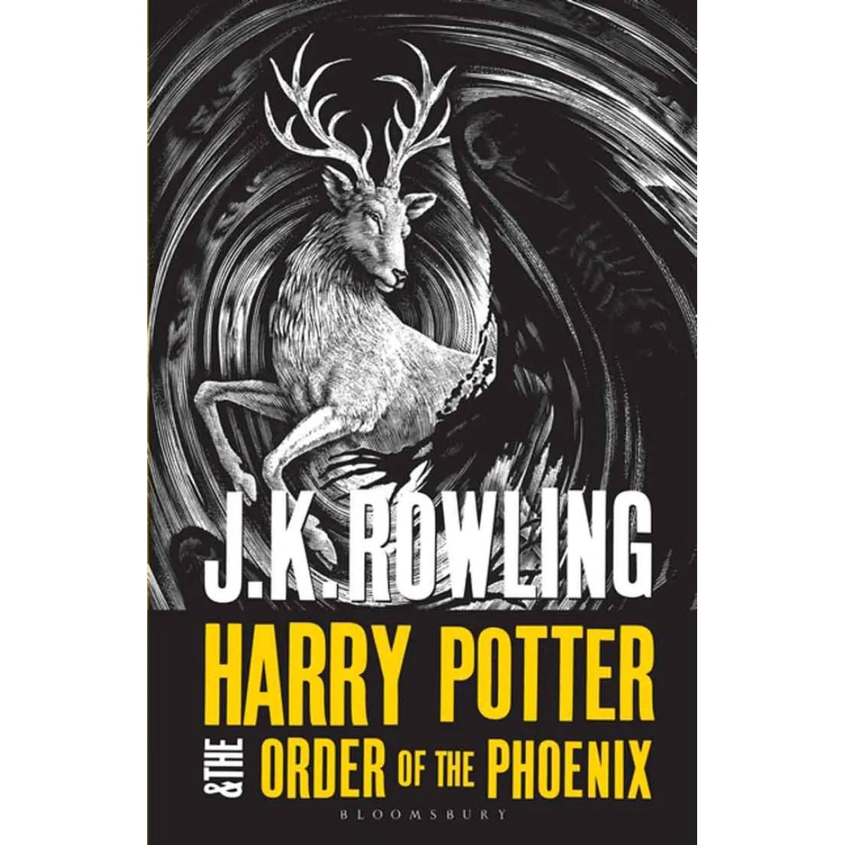 HARRY POTTER AND THE ORDER OF PHOENIX adult 