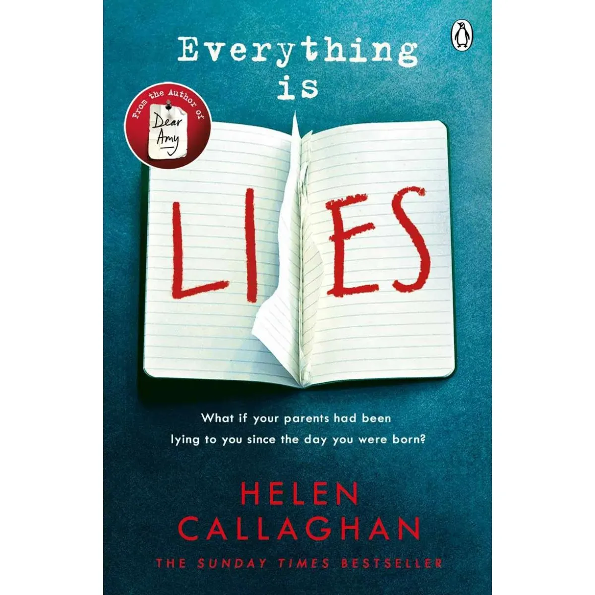 EVERYTHING IS LIES 