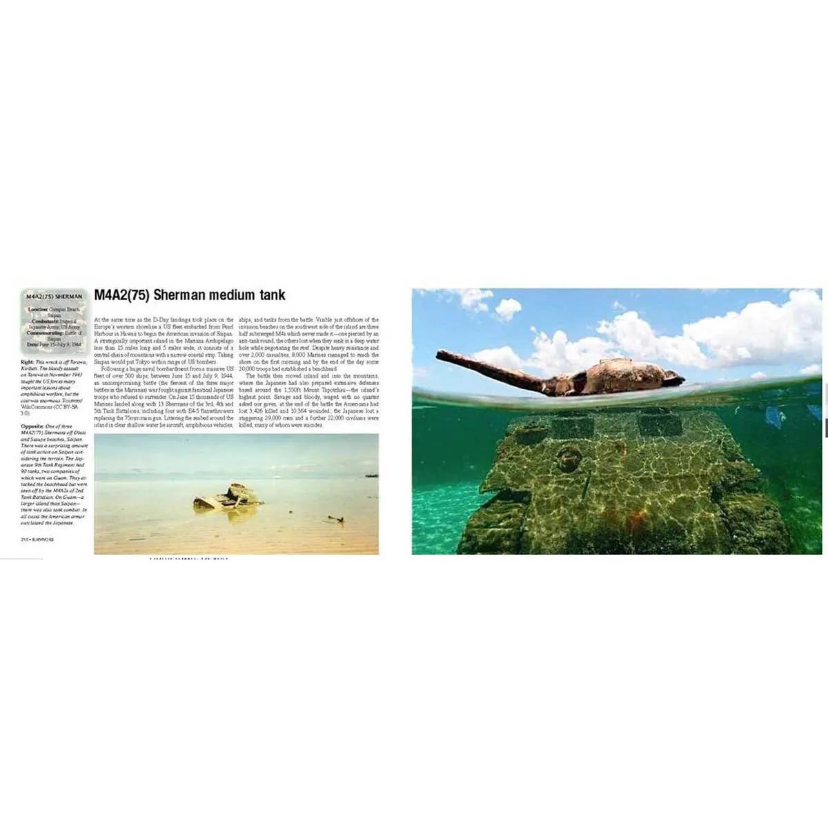 SURVIVORS BATTLEFIELD RELICS OF WWII 